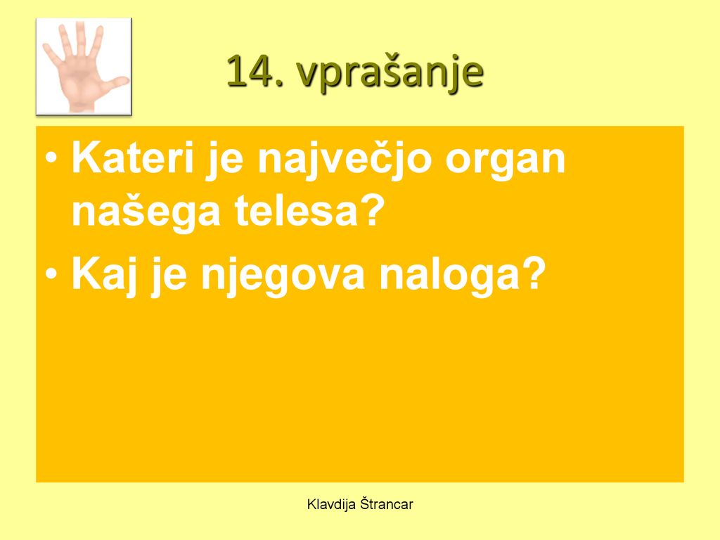 14. vprašanje Kateri je največjo organ našega telesa