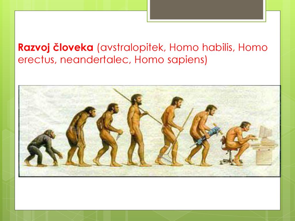 Razvoj človeka (avstralopitek, Homo habilis, Homo erectus, neandertalec, Homo sapiens)