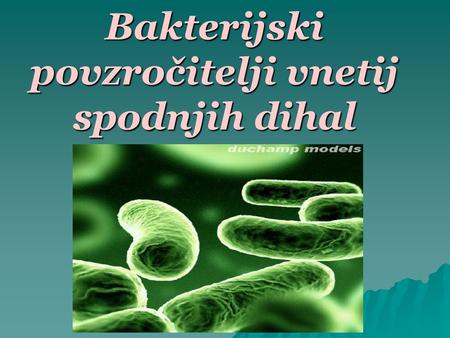 Bakterijski povzročitelji vnetij spodnjih dihal