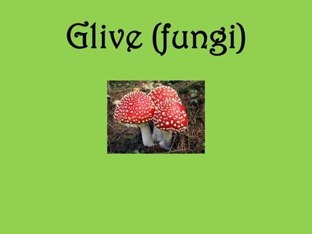 Glive (fungi).