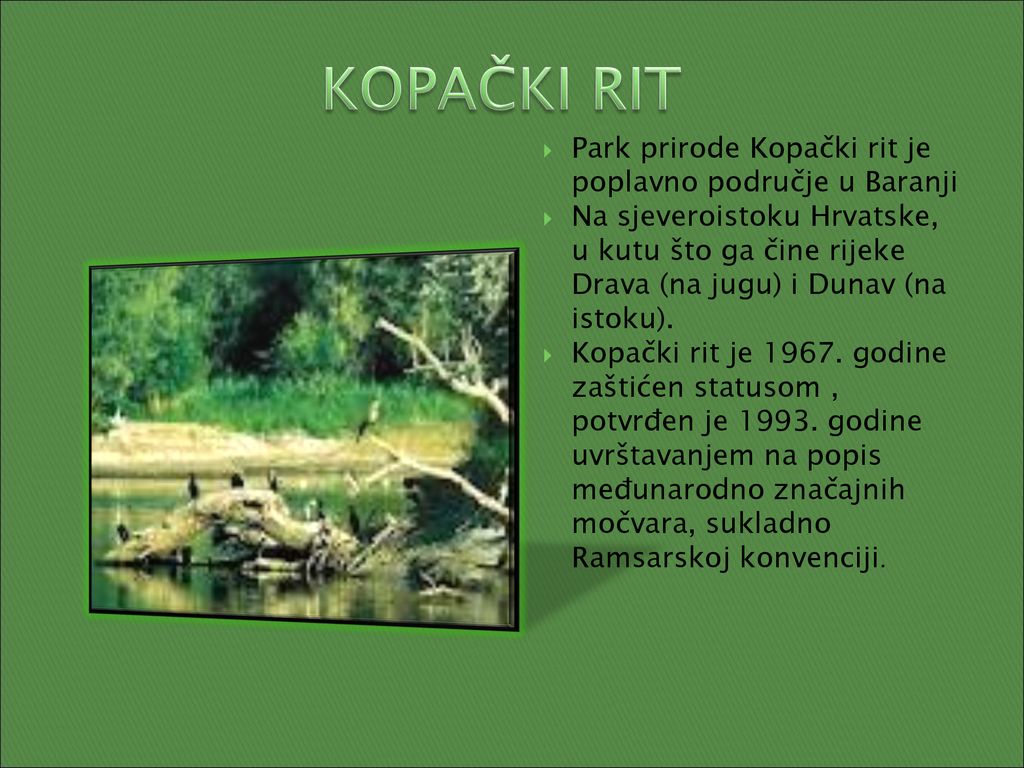 KOPAČKI RIT Park prirode Kopački rit je poplavno područje u Baranji