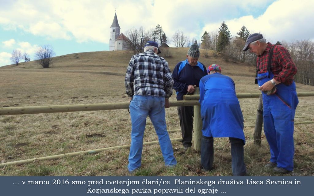 … v marcu 2016 smo pred cvetenjem člani/ce Planinskega društva Lisca Sevnica in Kozjanskega parka popravili del ograje …