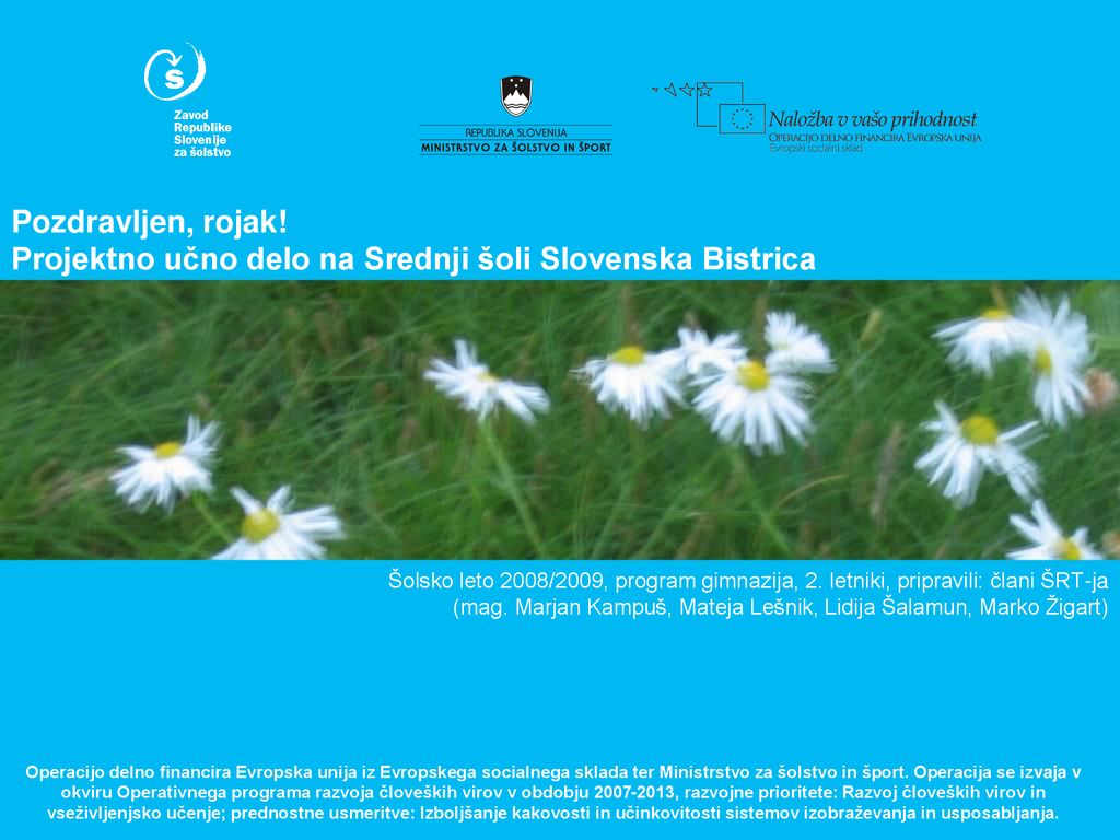 Pozdravljen, rojak! Projektno učno delo na Srednji šoli Slovenska Bistrica