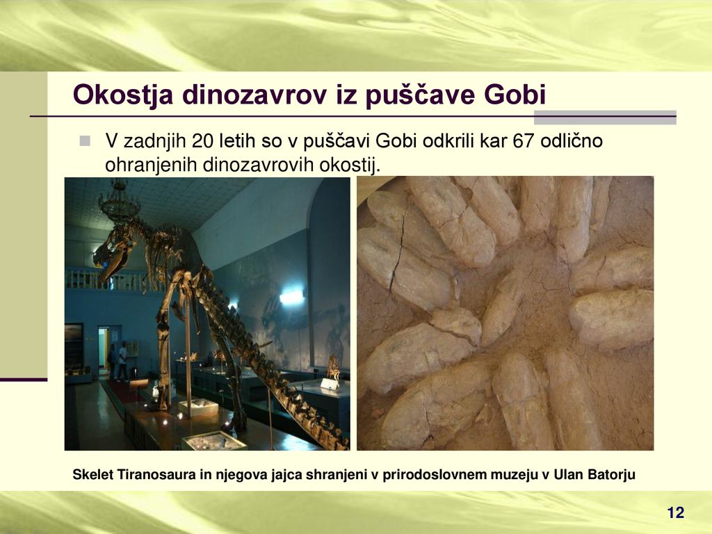 Okostja dinozavrov iz puščave Gobi