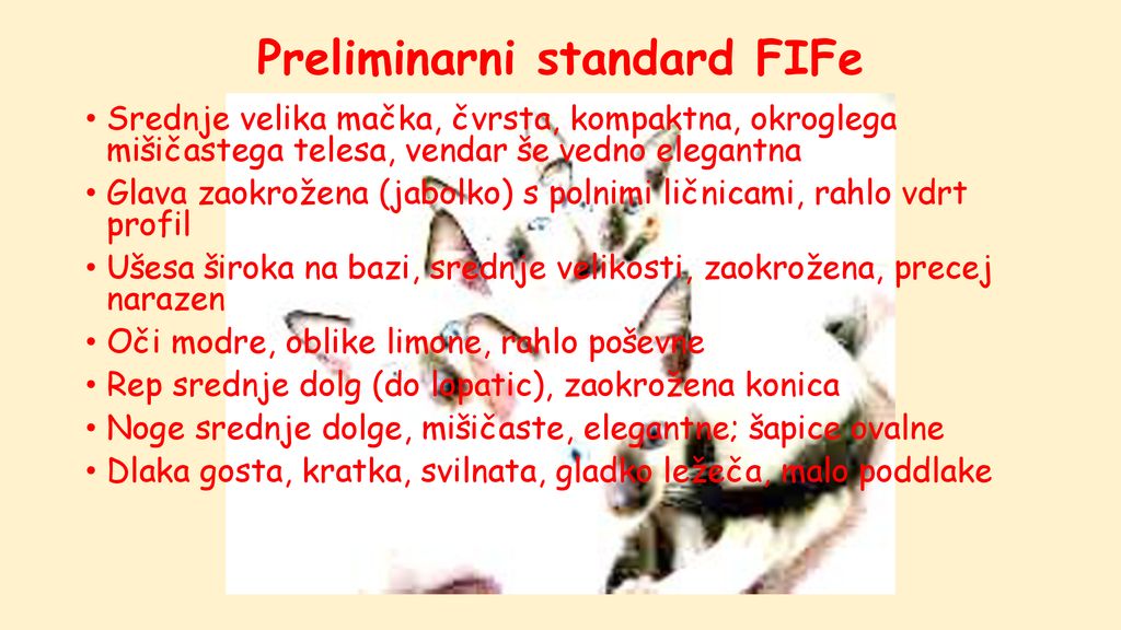 Preliminarni standard FIFe