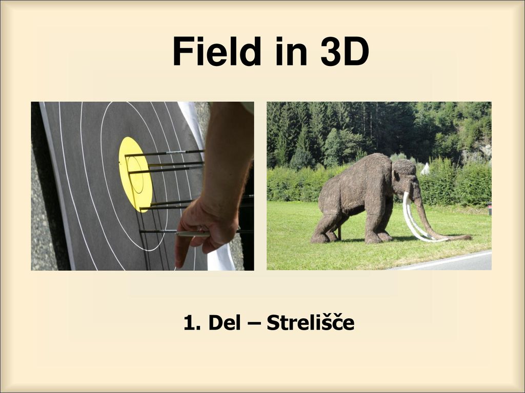 Field in 3D 1. Del – Strelišče