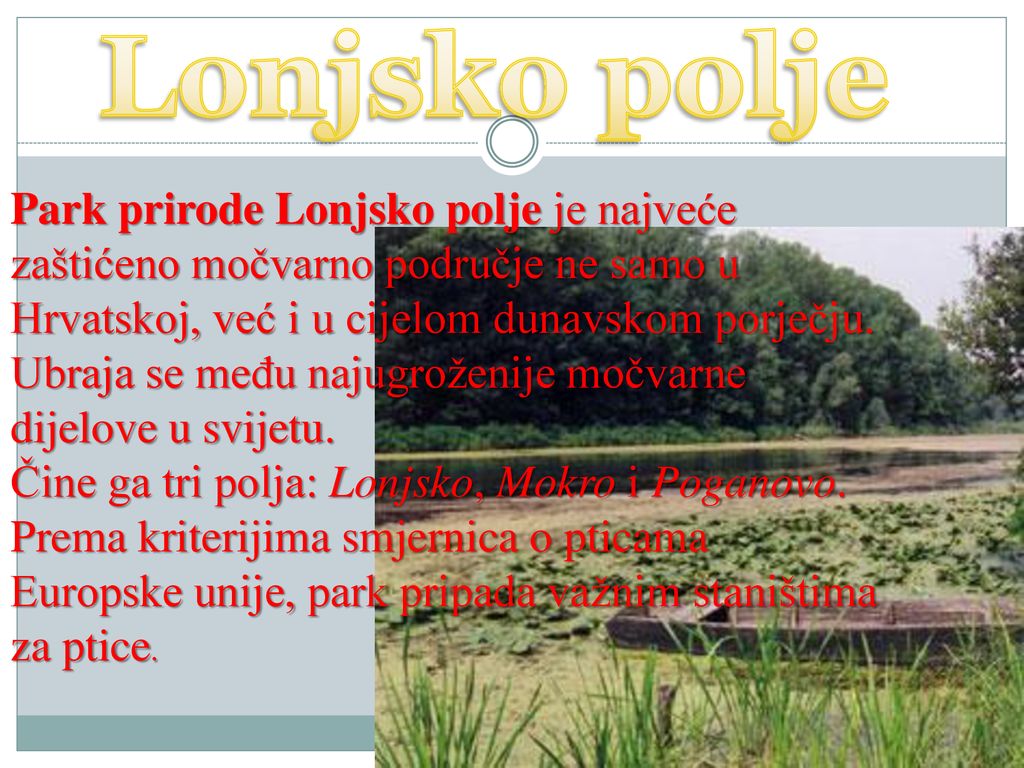 Lonjsko polje Park prirode Lonjsko polje je najveće zaštićeno močvarno područje ne samo u Hrvatskoj, već i u cijelom dunavskom porječju.