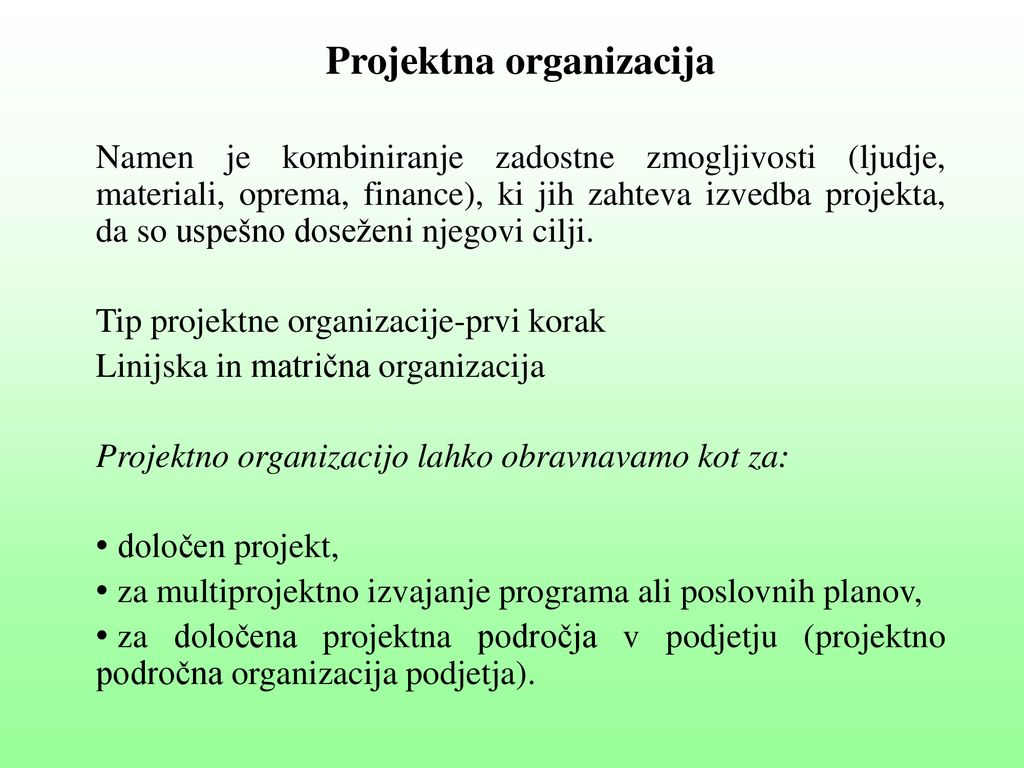 Projektna organizacija
