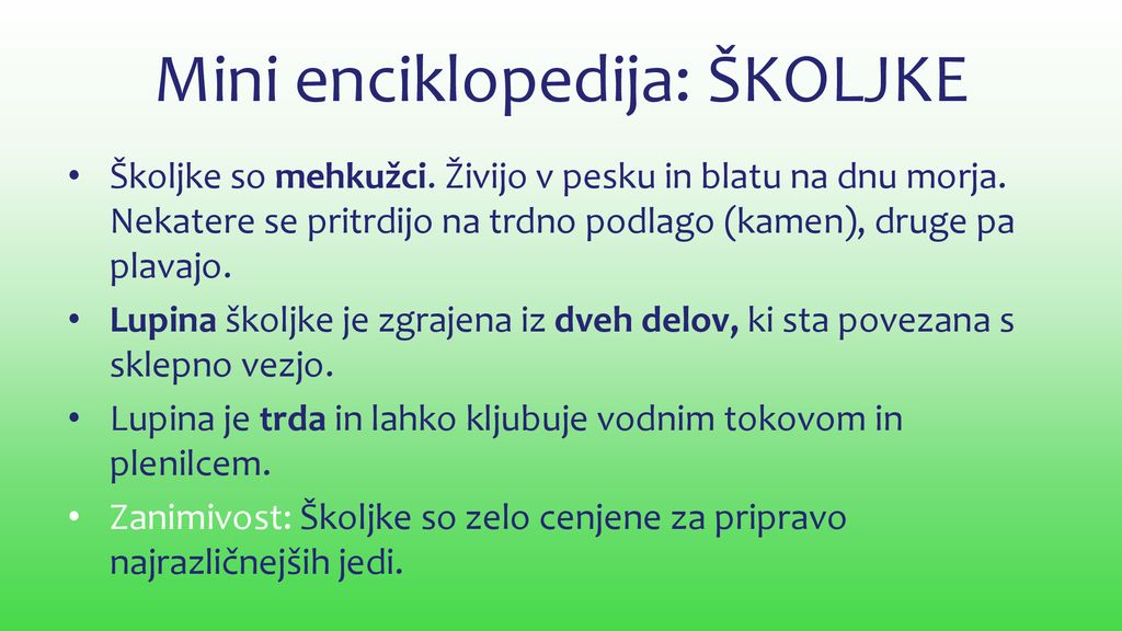 Mini enciklopedija: ŠKOLJKE