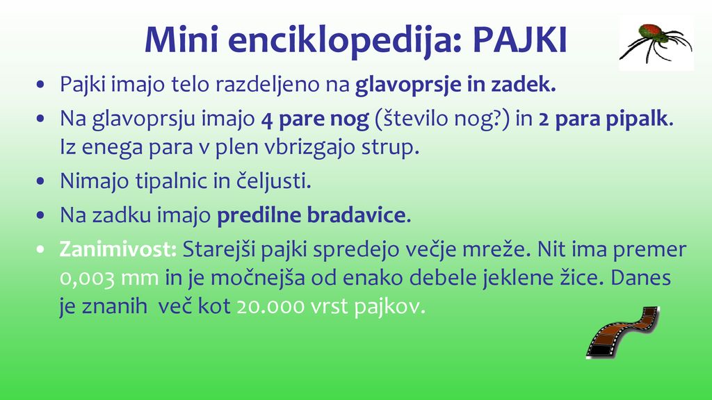Mini enciklopedija: PAJKI