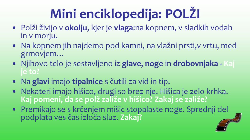 Mini enciklopedija: POLŽI