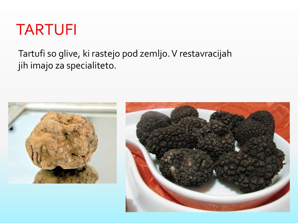 TARTUFI Tartufi so glive, ki rastejo pod zemljo. V restavracijah jih imajo za specialiteto.