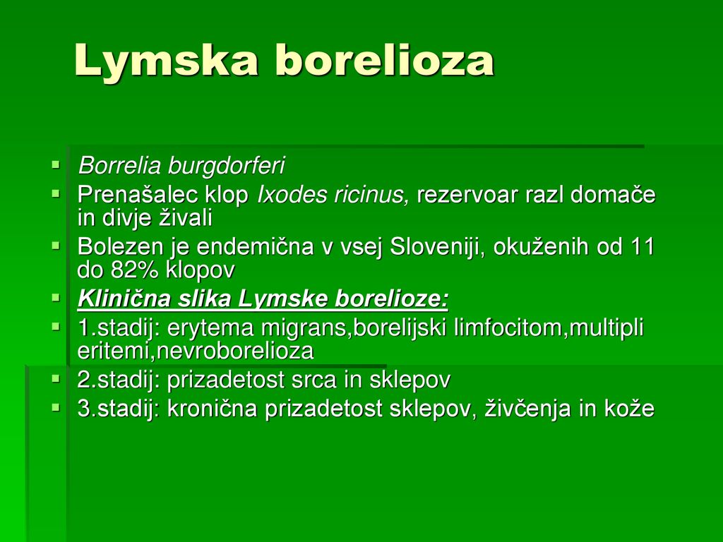 Lymska borelioza Borrelia burgdorferi