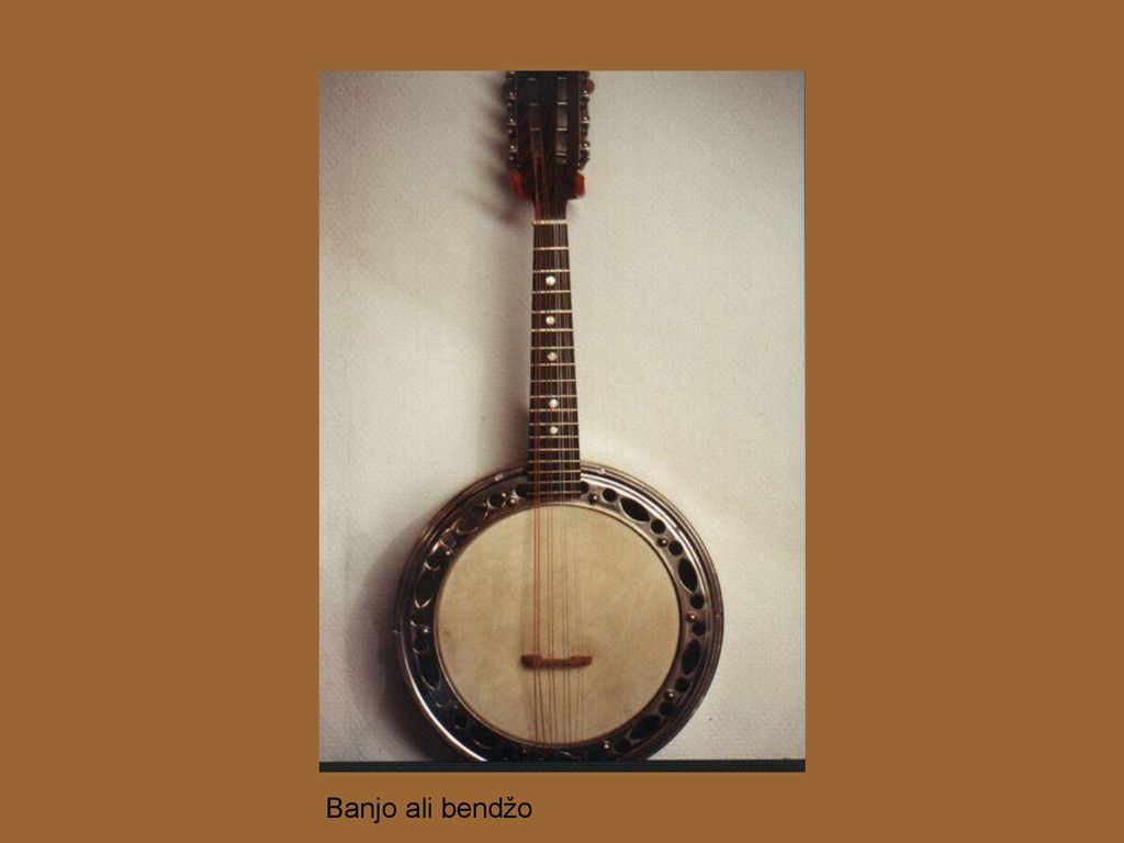 Banjo ali bendžo