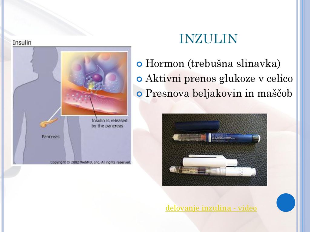 INZULIN Hormon (trebušna slinavka) Aktivni prenos glukoze v celico