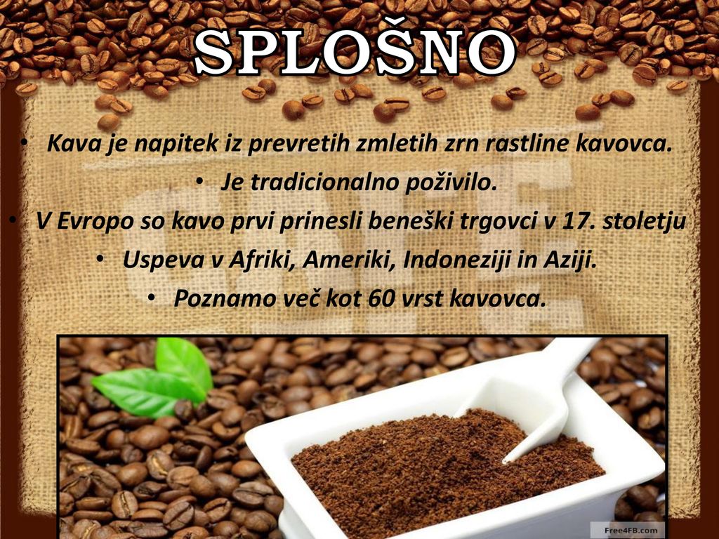 SPLOŠNO Kava je napitek iz prevretih zmletih zrn rastline kavovca.