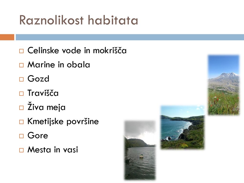 Raznolikost habitata Celinske vode in mokrišča Marine in obala Gozd