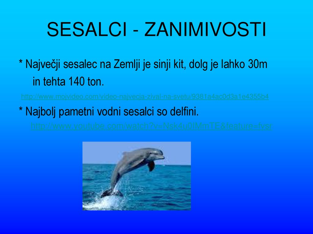 SESALCI - ZANIMIVOSTI * Največji sesalec na Zemlji je sinji kit, dolg je lahko 30m. in tehta 140 ton.