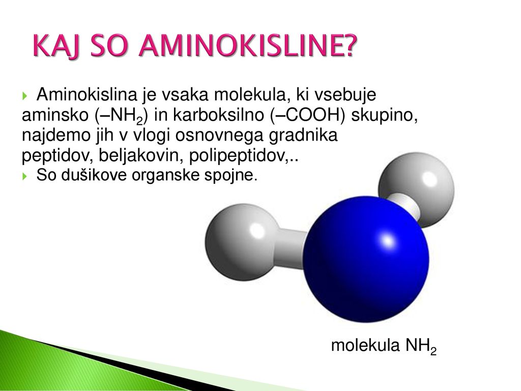 KAJ SO AMINOKISLINE Aminokislina je vsaka molekula, ki vsebuje