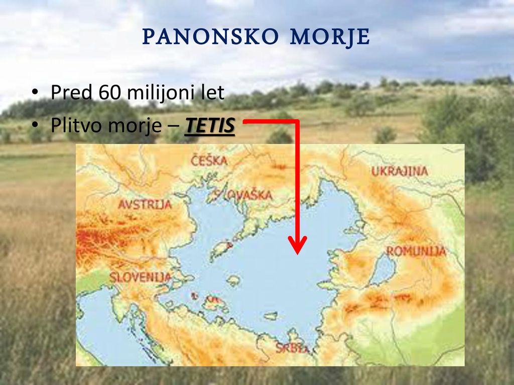 PANONSKO MORJE Pred 60 milijoni let Plitvo morje – TETIS
