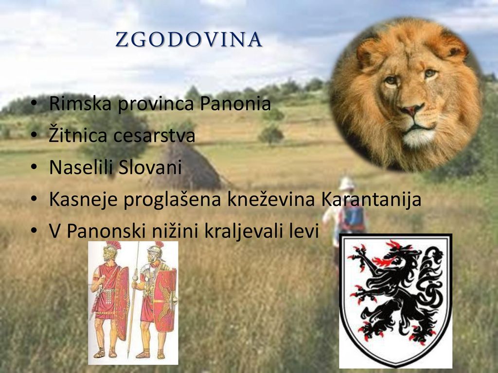 ZGODOVINA Rimska provinca Panonia Žitnica cesarstva Naselili Slovani