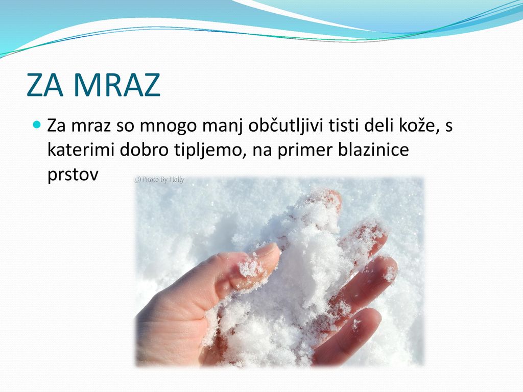 ZA MRAZ Za mraz so mnogo manj občutljivi tisti deli kože, s katerimi dobro tipljemo, na primer blazinice prstov.