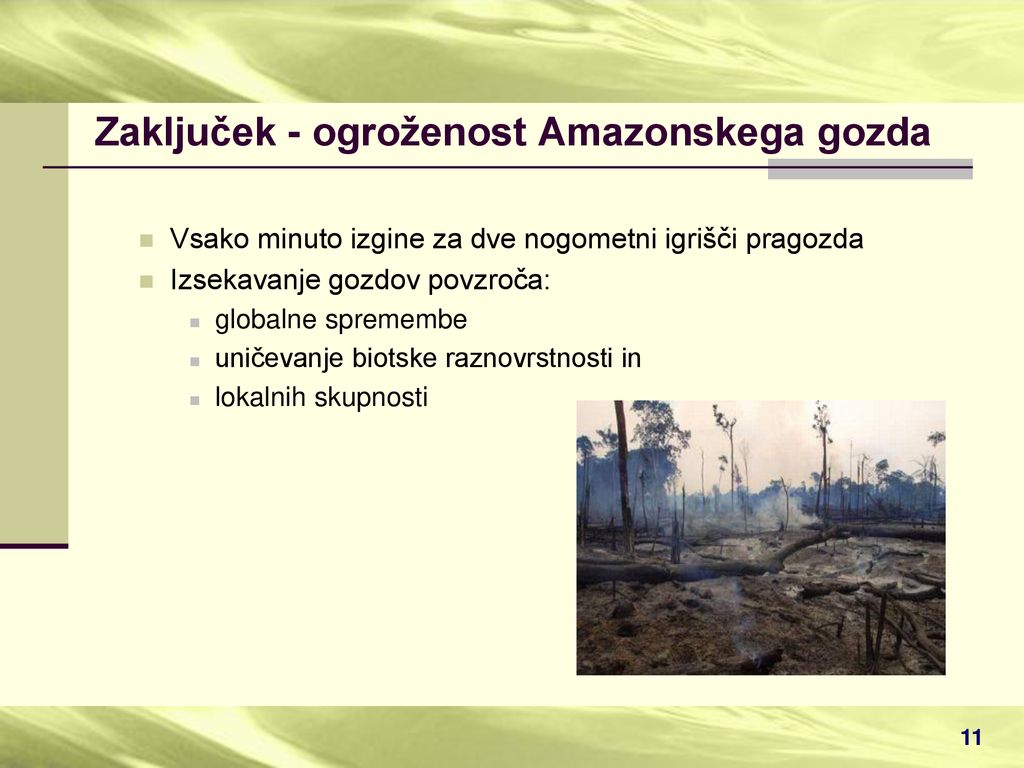 Zaključek - ogroženost Amazonskega gozda