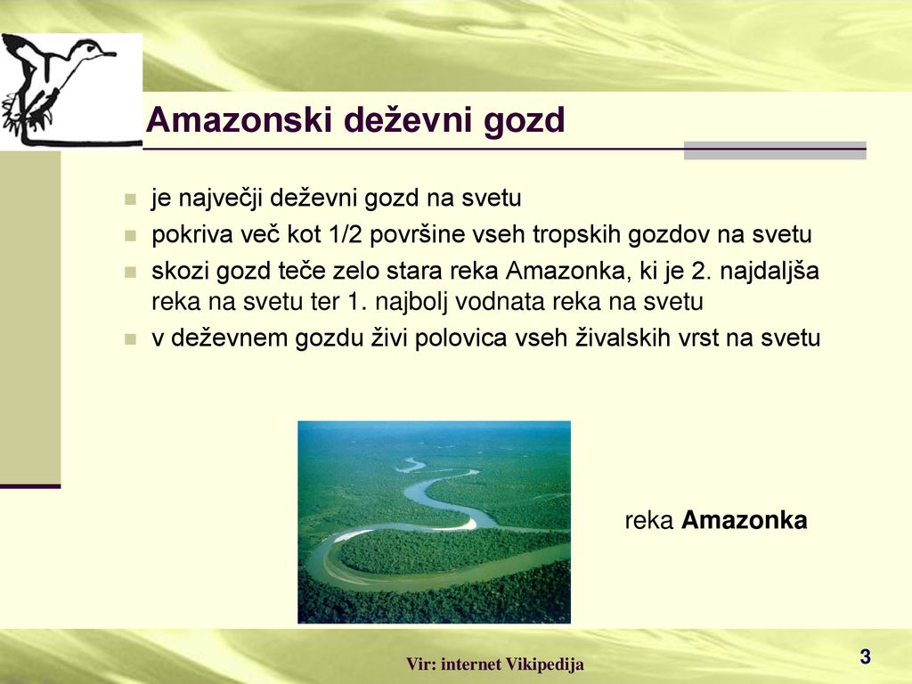 Amazonski deževni gozd