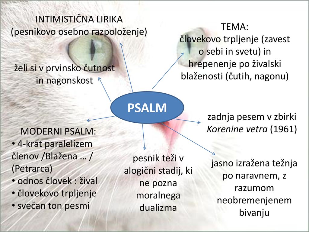 PSALM INTIMISTIČNA LIRIKA (pesnikovo osebno razpoloženje) TEMA: