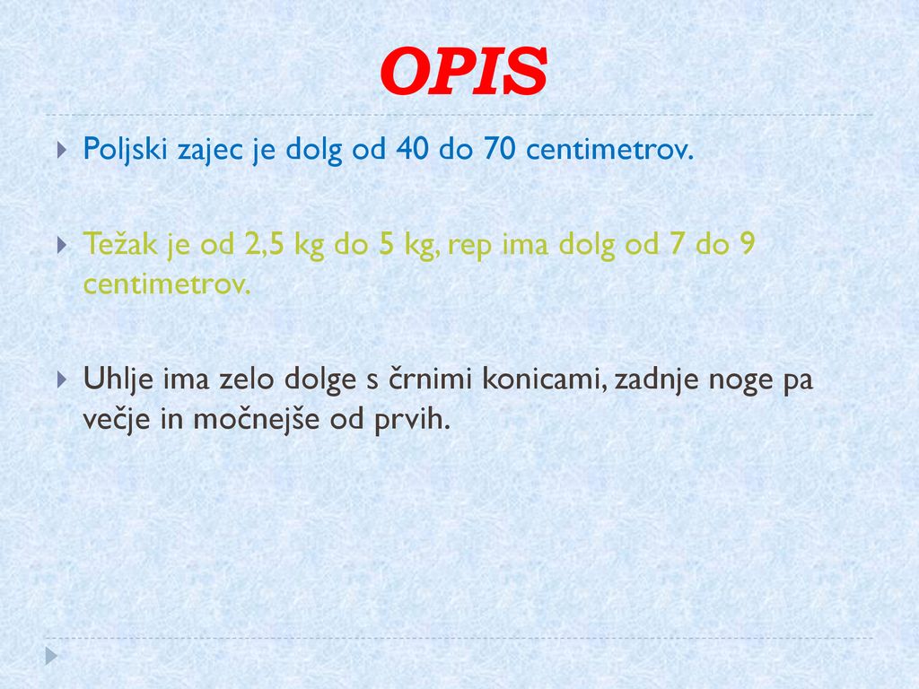 OPIS Poljski zajec je dolg od 40 do 70 centimetrov.